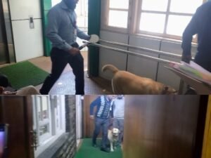 himachal-news-Shimla-bomb-threat