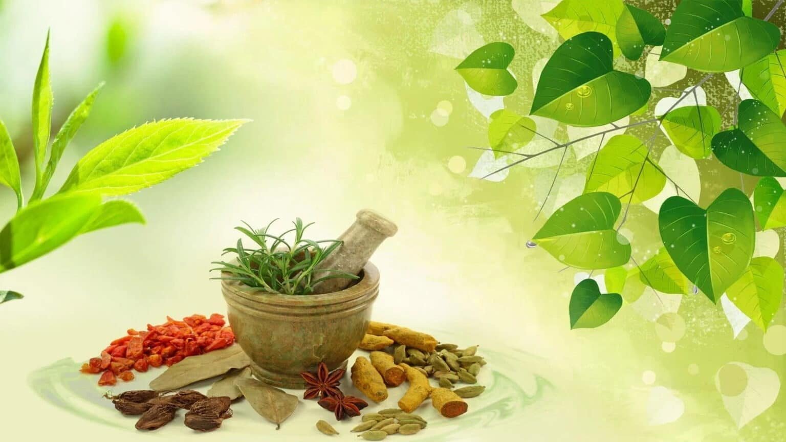 KRM Ayurveda IPO Oversubscribed 3x on Final Day: Check GMP & Status