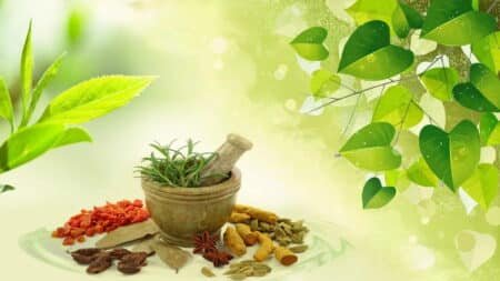 KRM Ayurveda IPO Oversubscribed 3x on Final Day: Check GMP & Status