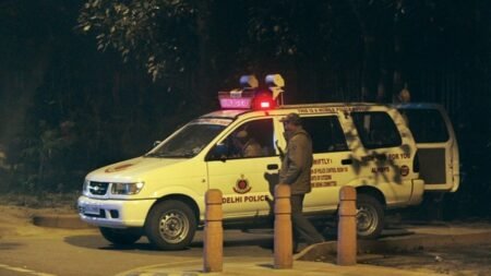 Delhi Horror: Aunt Chokes Toddler to Death in Park Delhi Horror: Aunt Chokes Toddler to Death in Park